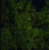 Name:  Landschaft01.gif
Hits: 411
Gre:  11,7 KB